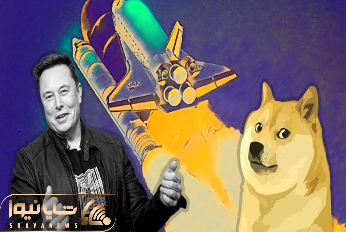 DOGCOIN