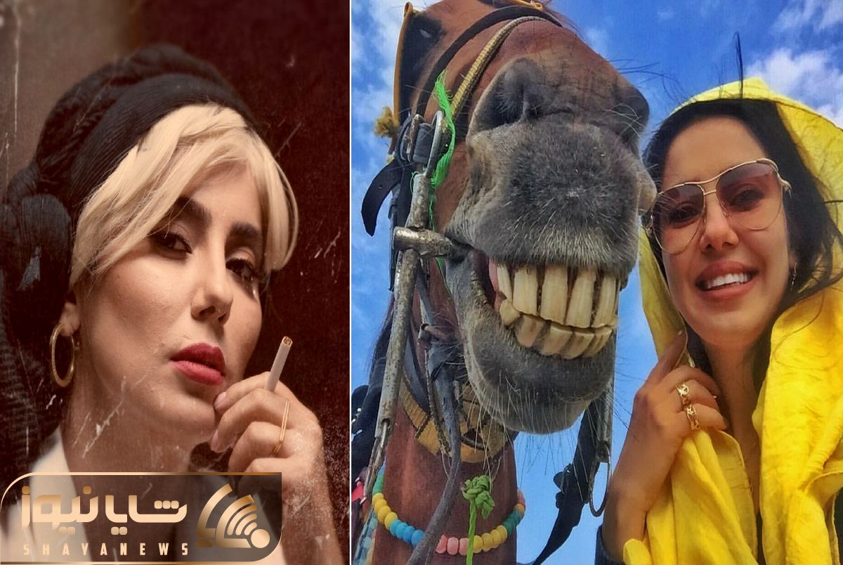 sheida yousefi shayanews