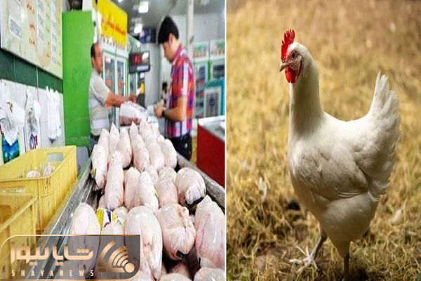 قیمت مرغ امروز شنبه ۱۲ اردیبهشت ۱۴۰۵ + جدول